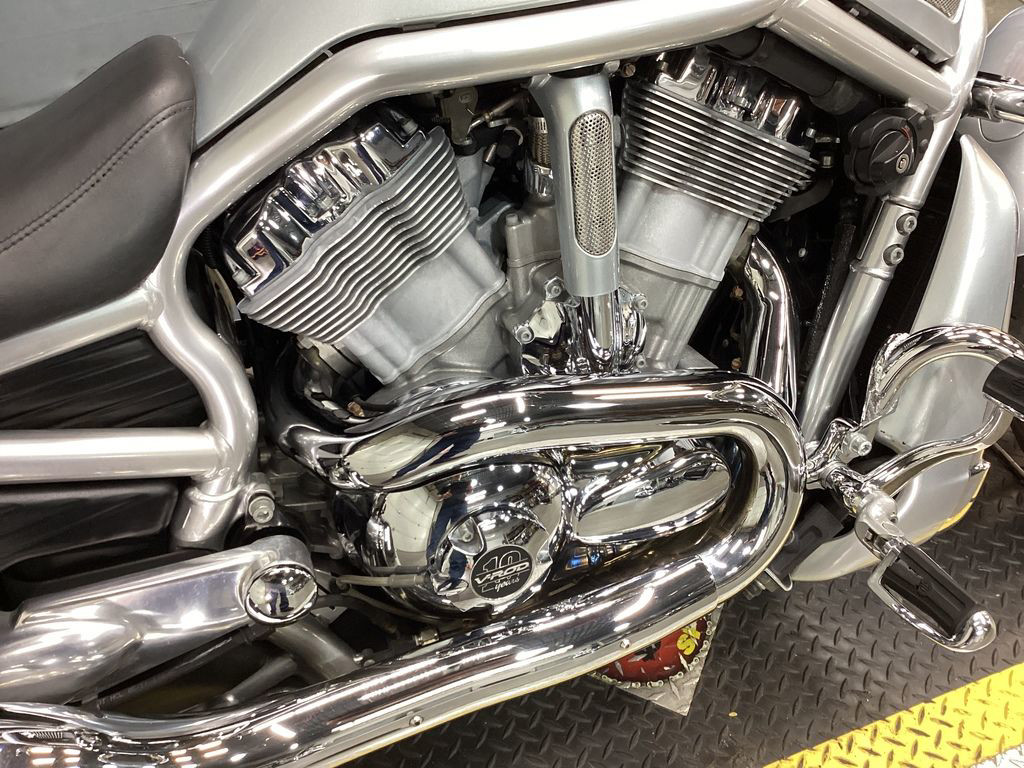 V-Rod® Night Rod® Special Anniversary