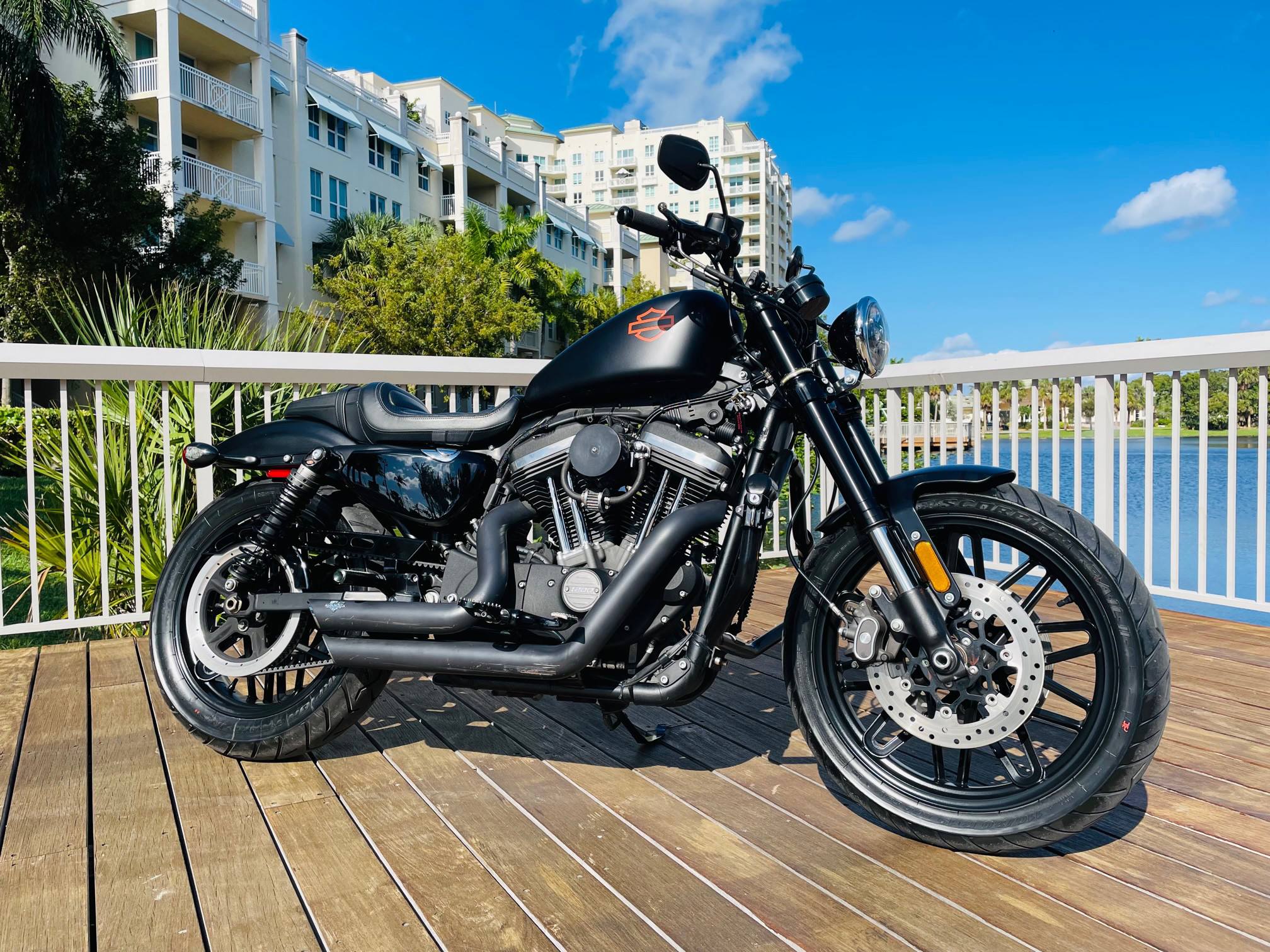 2016 HarleyDavidson® XL1200CX Sportster® Roadster® for Sale in Boynton