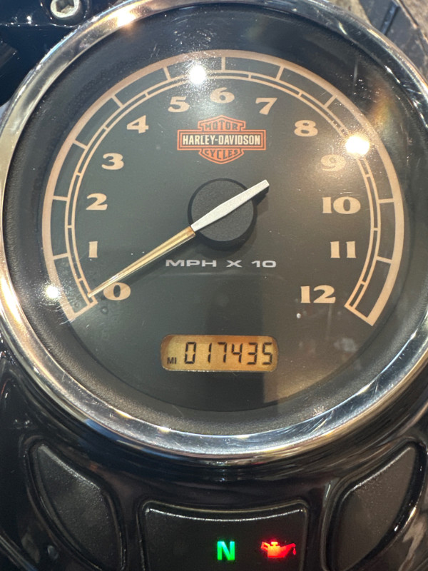 Softail® Cross Bones®