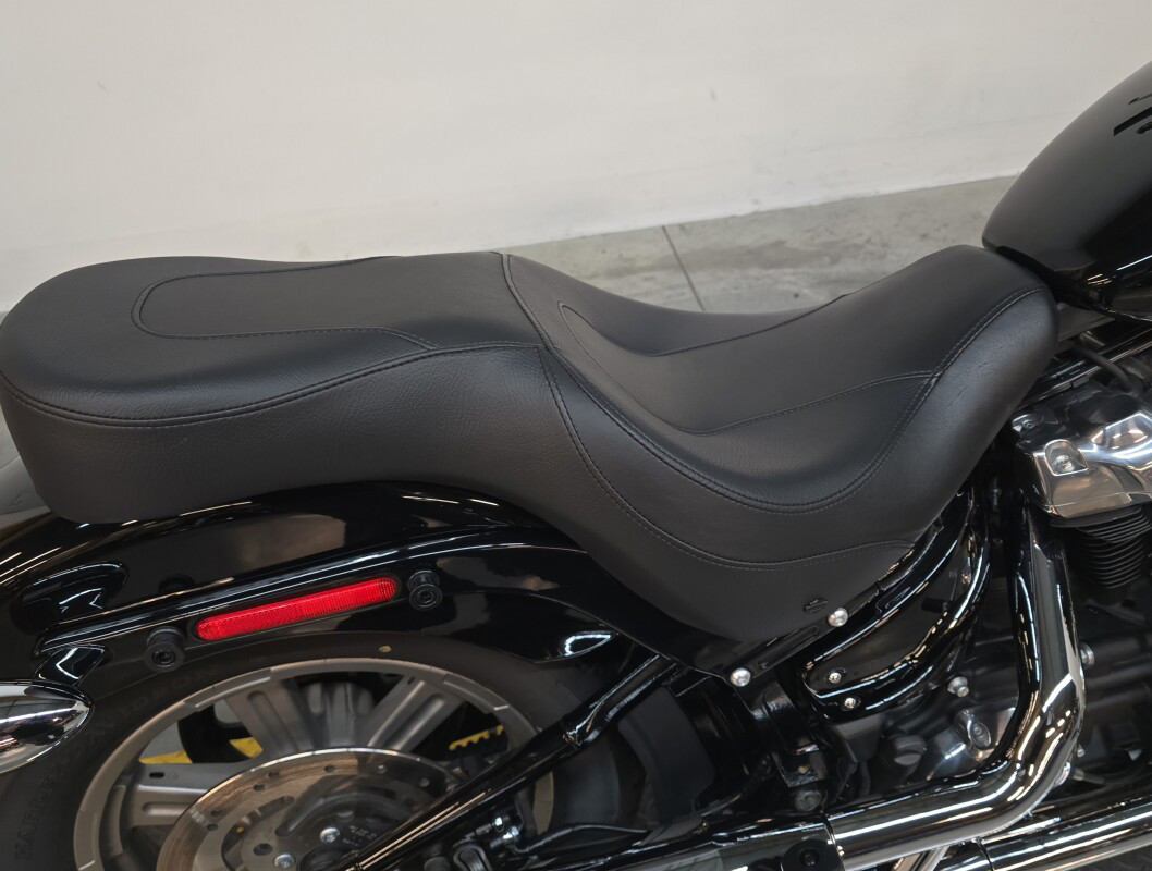 Softail® Standard