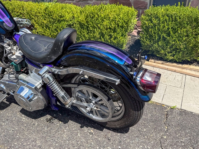 Electra Glide® Police