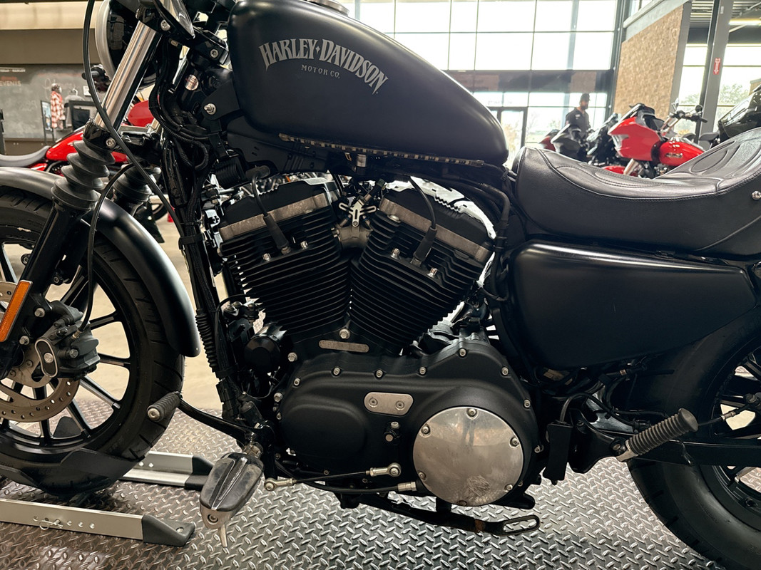 Sportster® Iron 883®