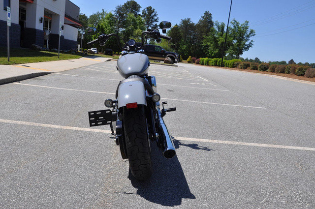 Street Bob®