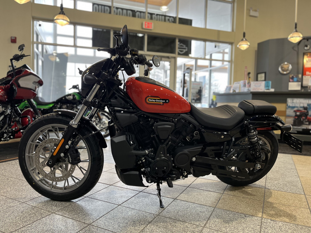 Nightster Special