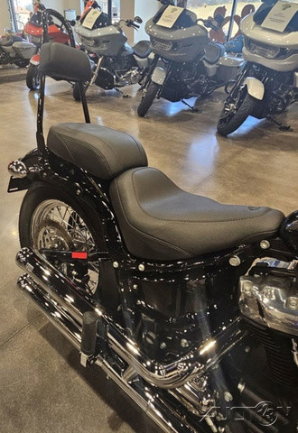Softail® Standard
