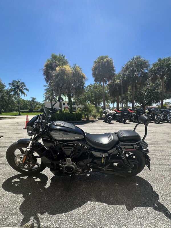 Nightster