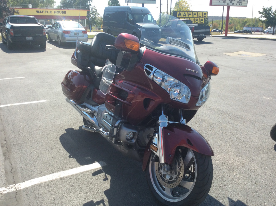 Gold Wing