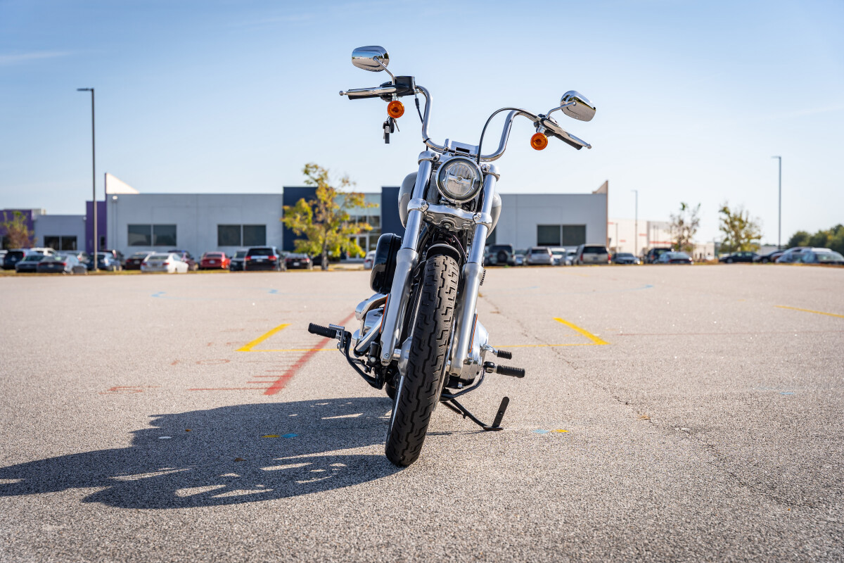 Softail® Standard