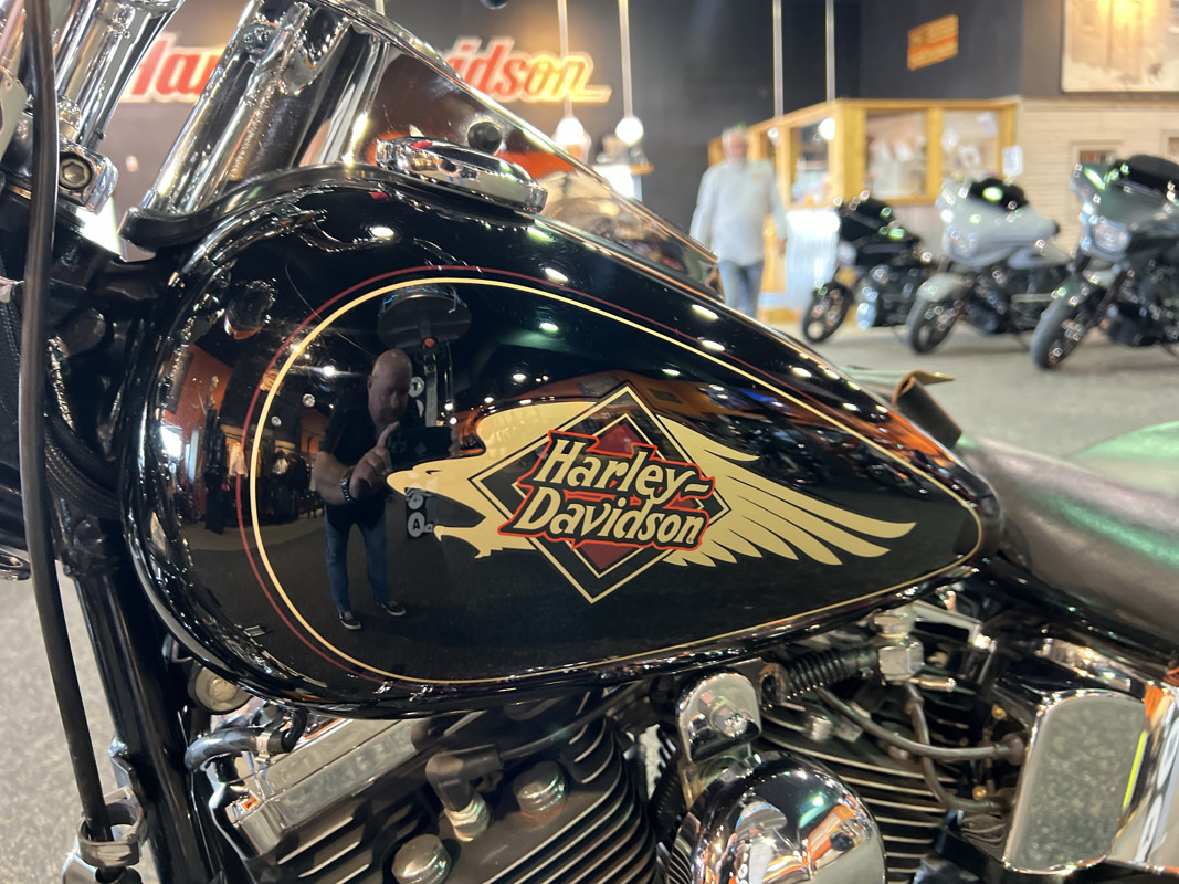 Springer® Softail®