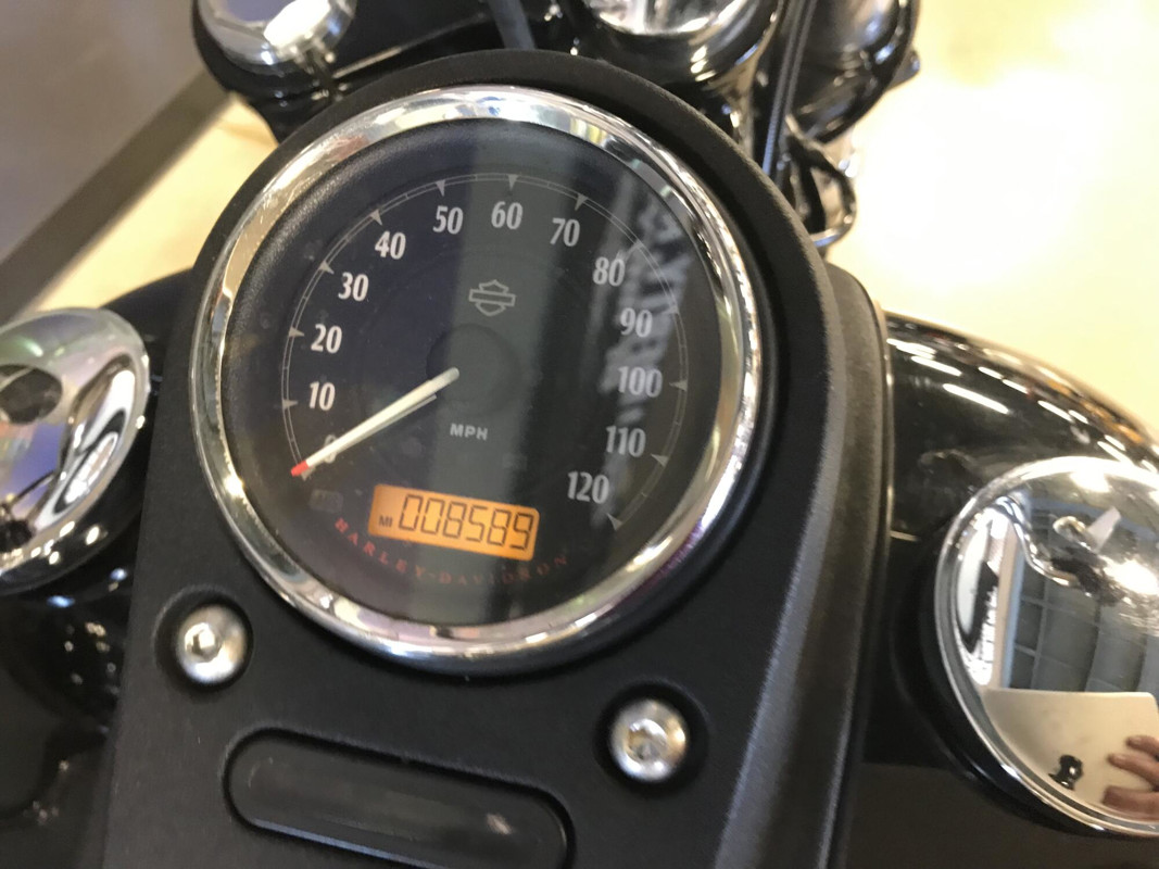 Dyna® Street Bob®