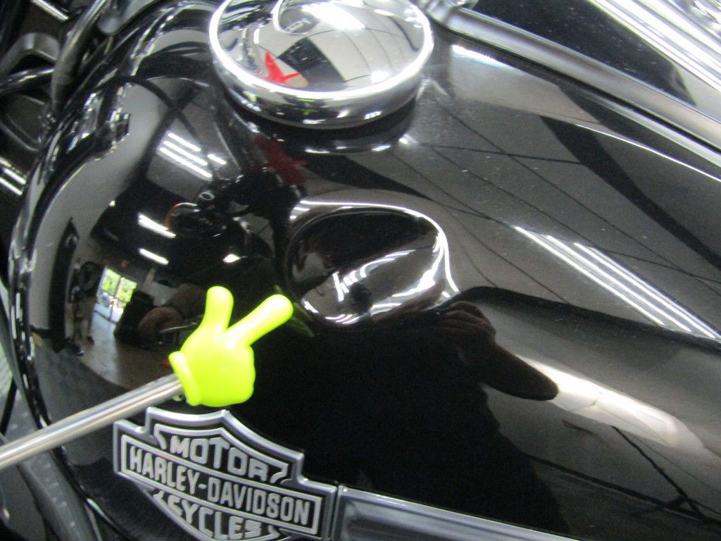 Dyna® Fat Bob® 