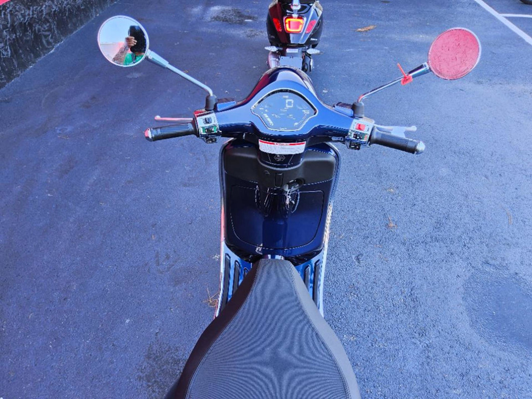 Primavera 50