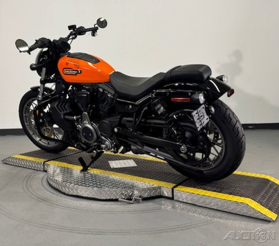Nightster Special