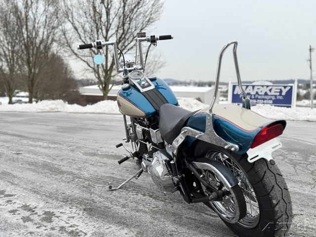 Springer® Softail®