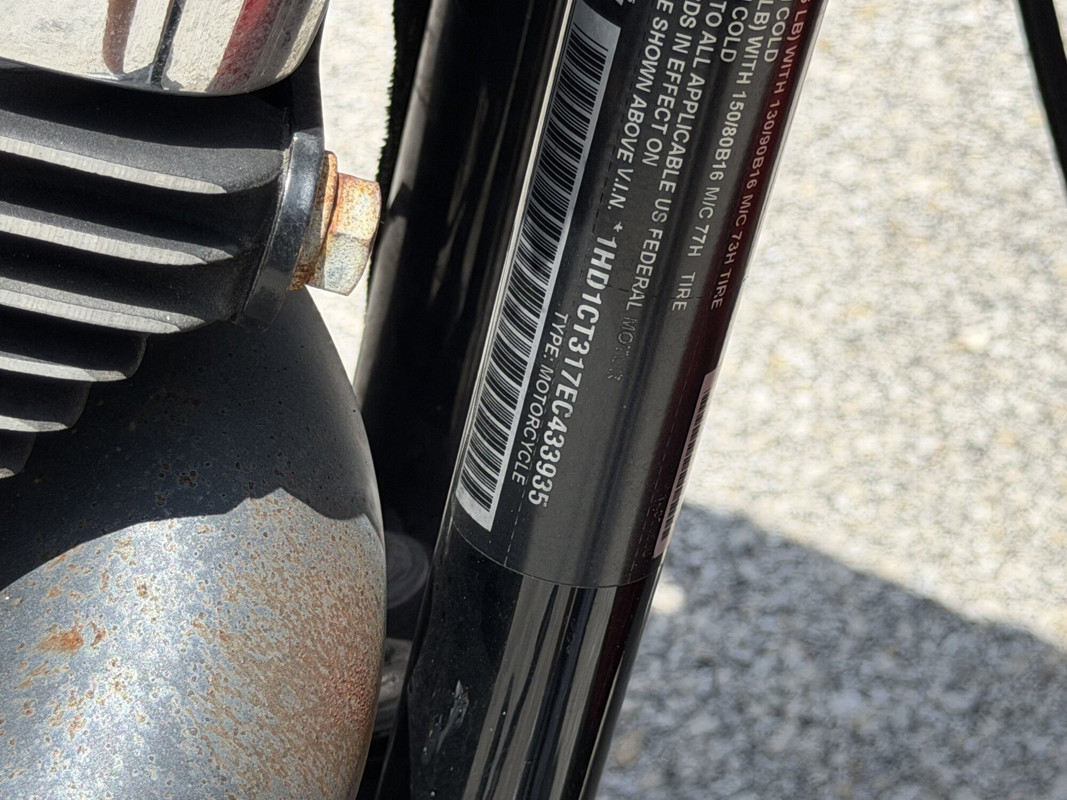 Sportster® 1200 Custom