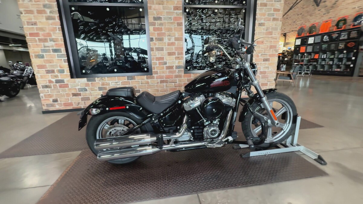 Softail® Standard