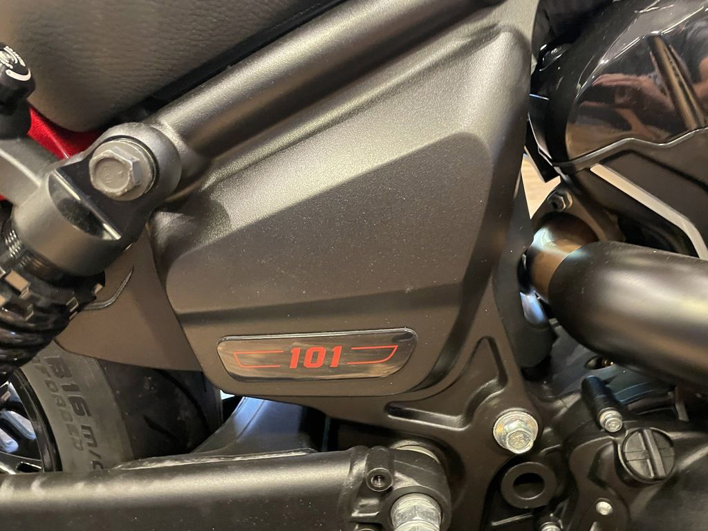 101 Scout