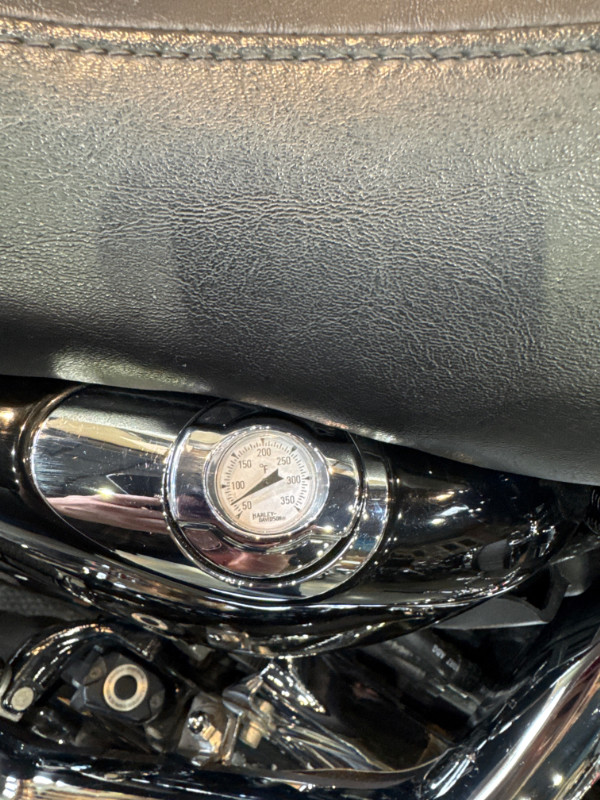 Sportster® SuperLow® 1200T