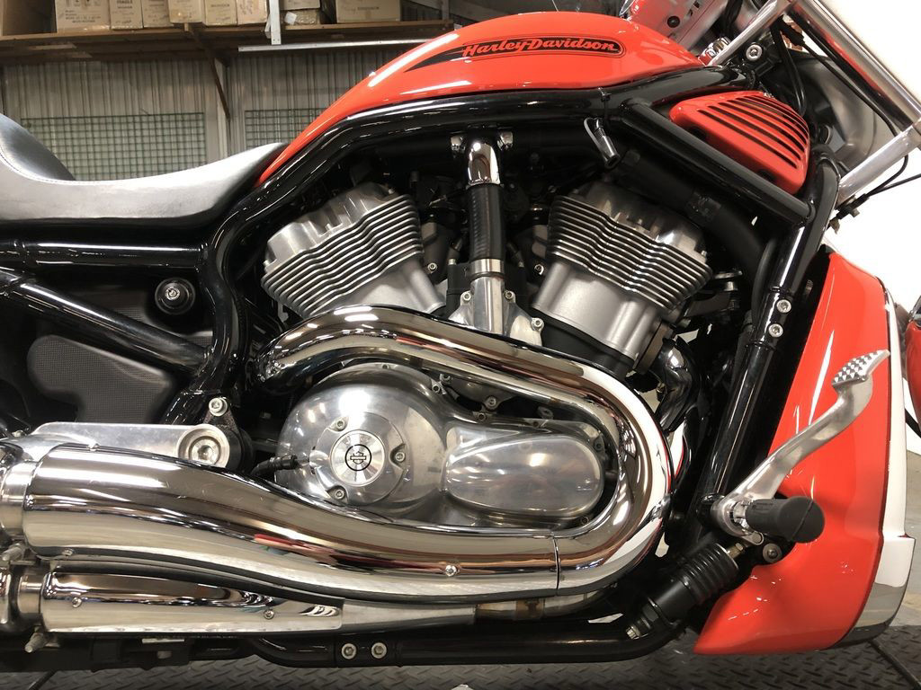 V-Rod® - Black Frame