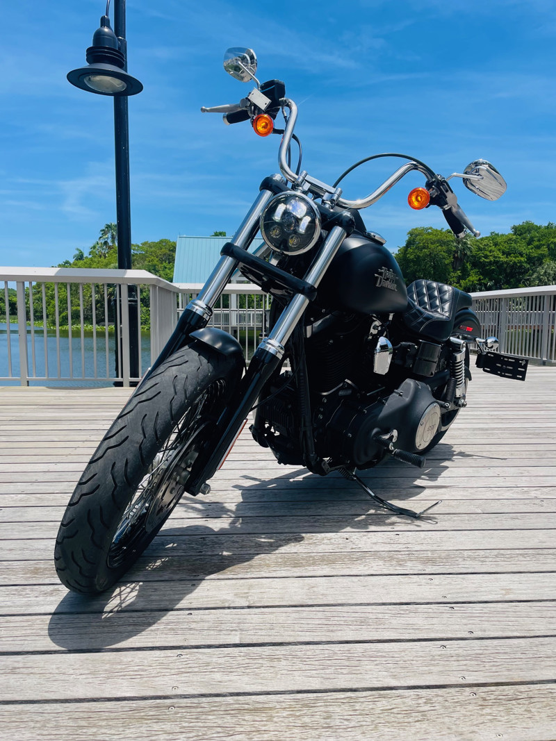 Dyna® Street Bob®