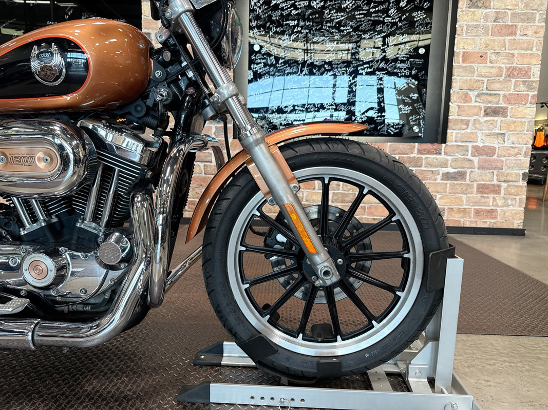 Sportster® 1200 Low Anniversary