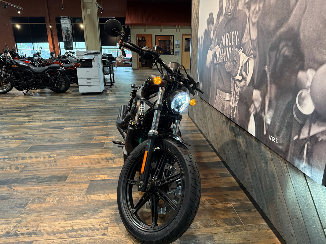 Nightster