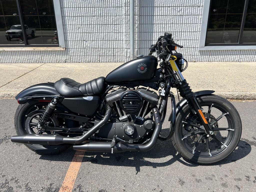 Iron 883®
