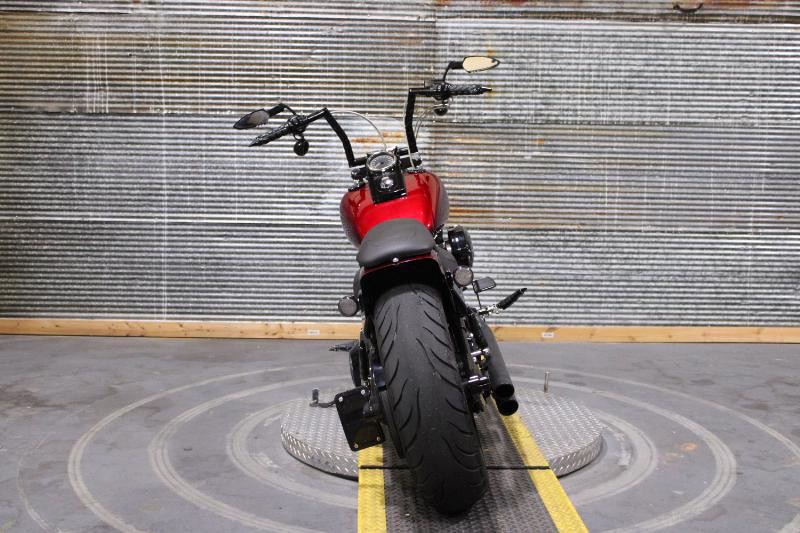 Softail® Standard