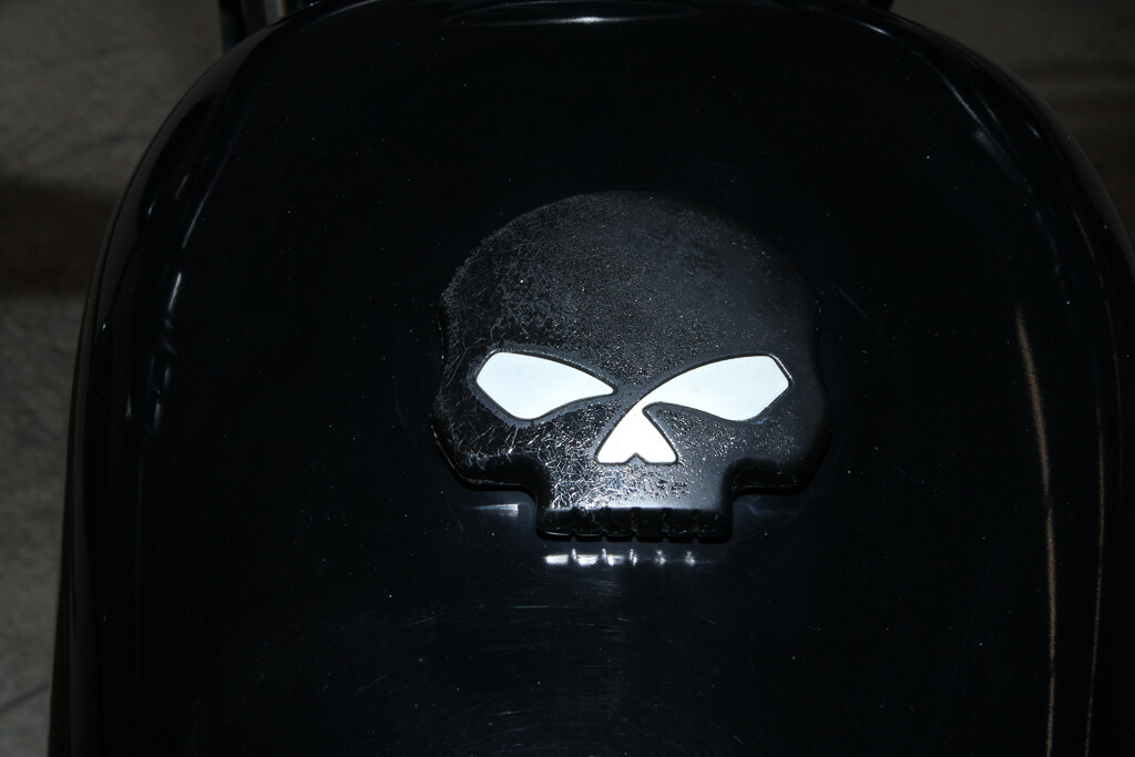 Sportster® Iron 883®