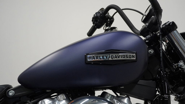 Street Bob®