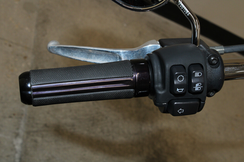Softail® Low Rider®