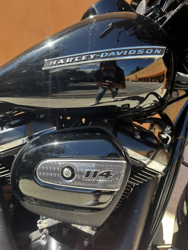 Street Glide® Special