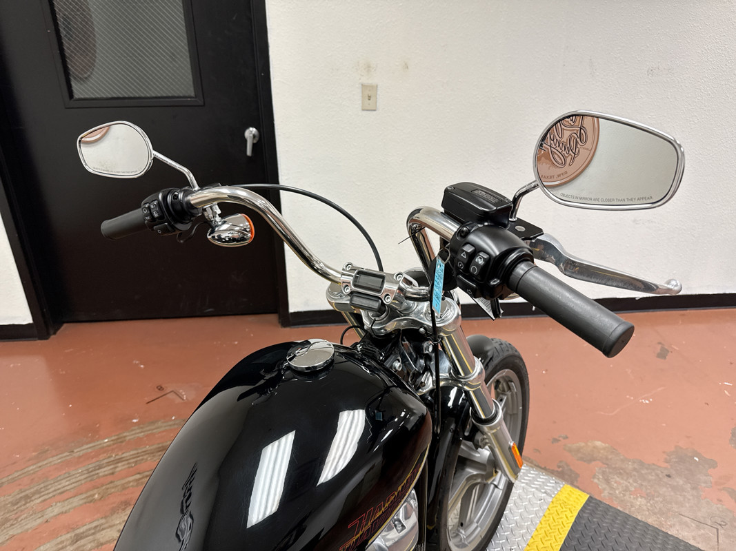 Softail® Standard
