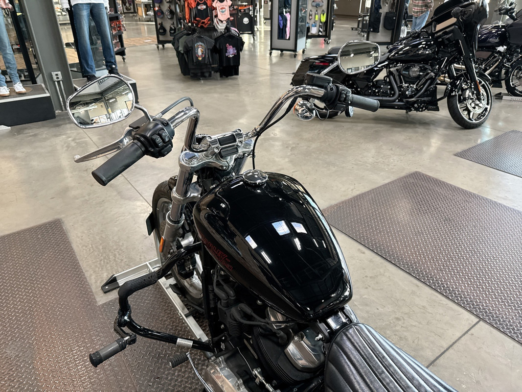 Softail® Standard