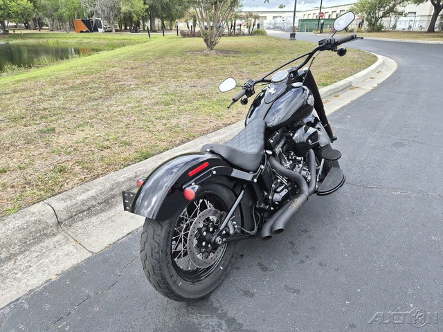 Softail® Slim® S