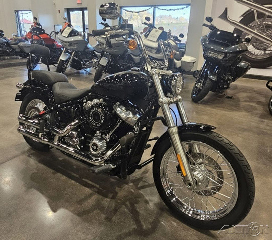 Softail® Standard
