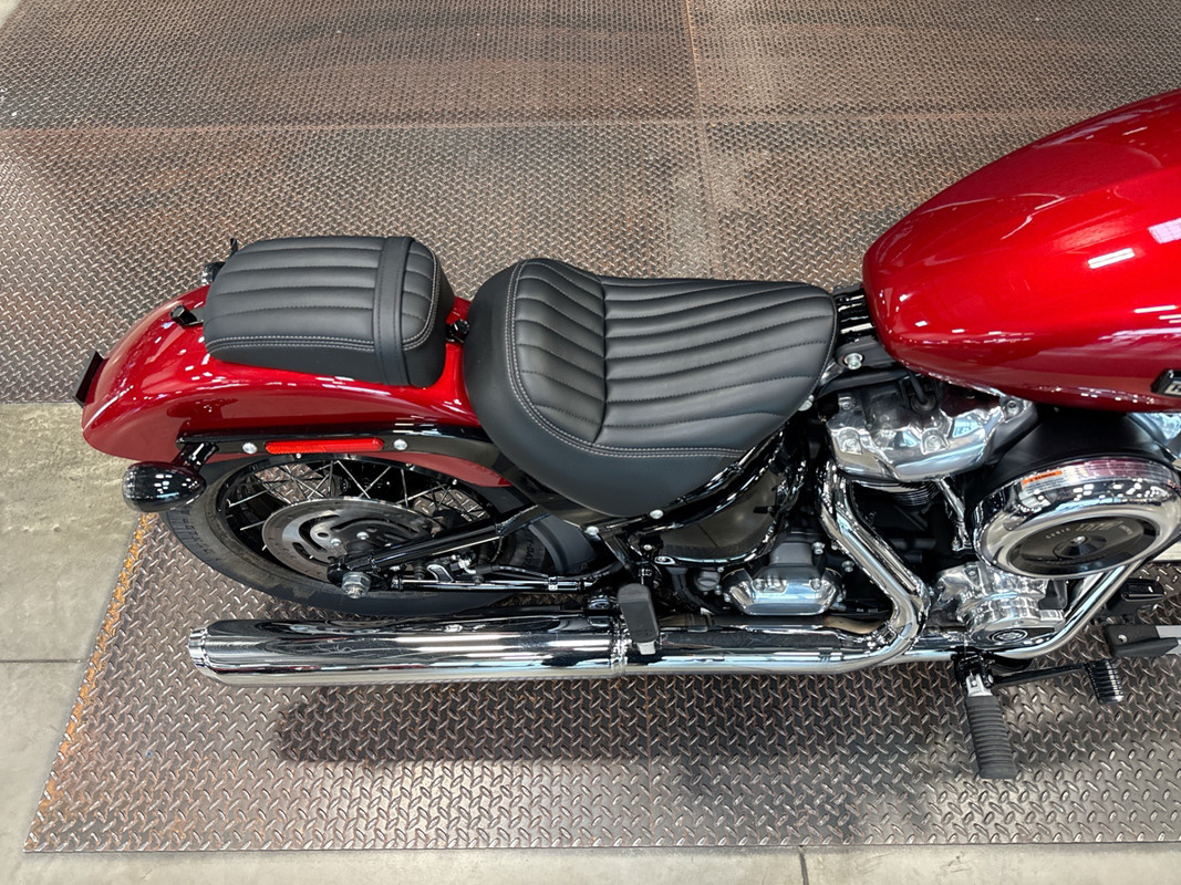 Street Bob®