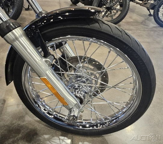 Softail® Night Train®
