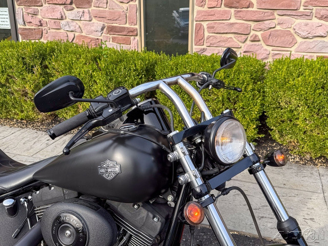 Softail® Night Train®