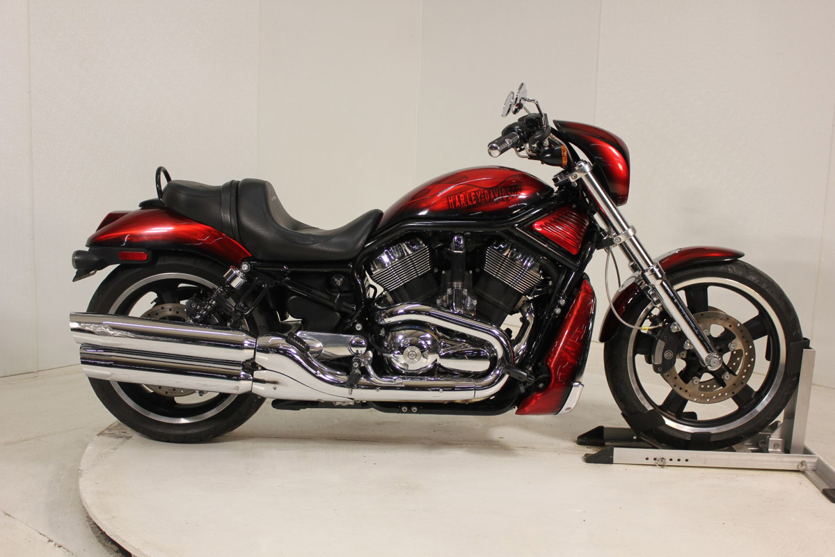 V-Rod® Night Rod®