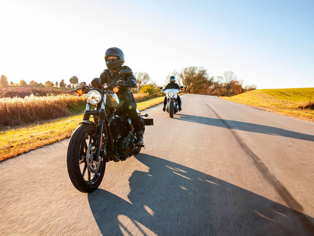 Iron 883®