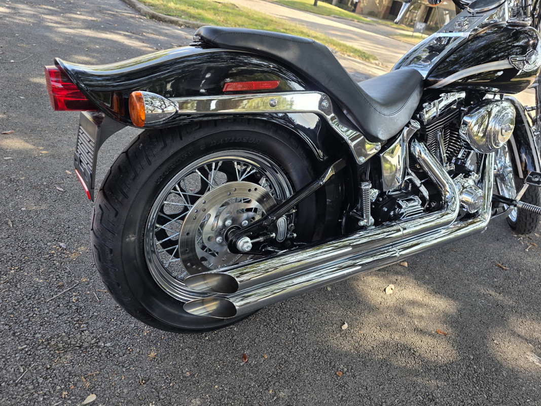 Springer® Softail® Anniversary