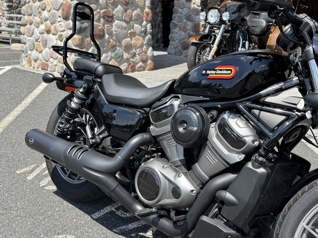 Nightster Special
