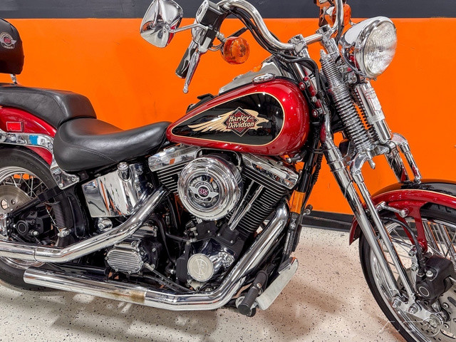 Springer® Softail®