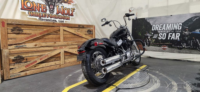 Softail® Standard