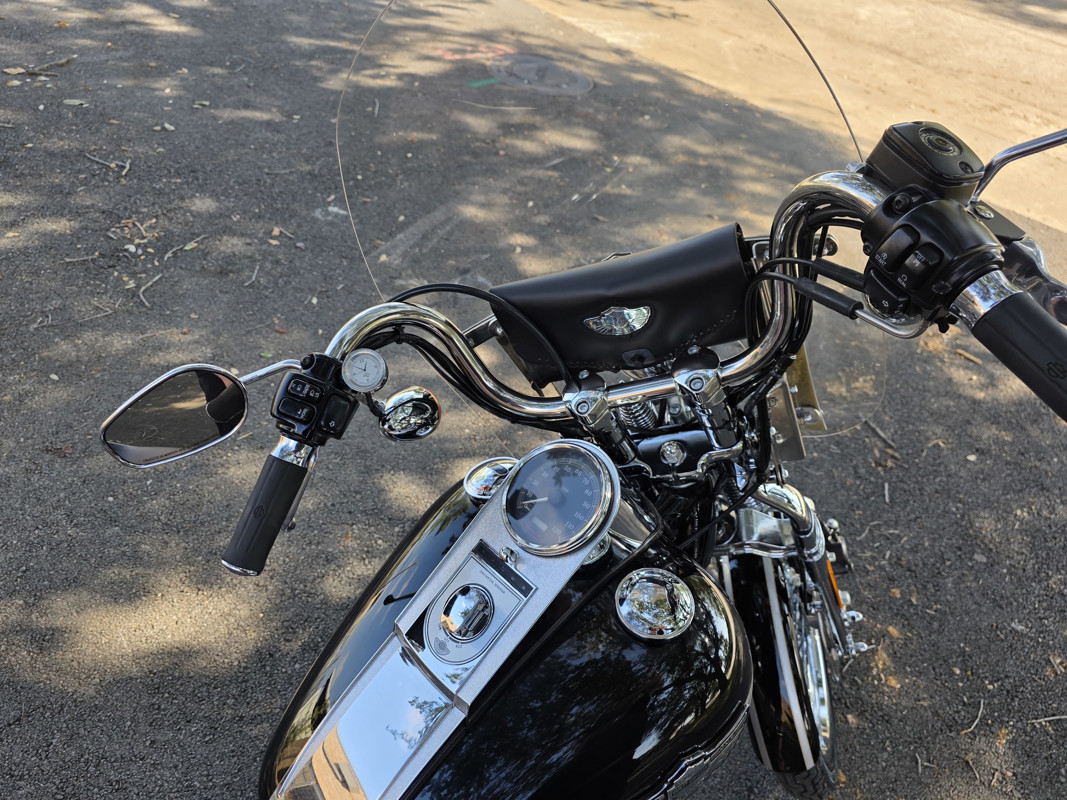 Springer® Softail® Anniversary