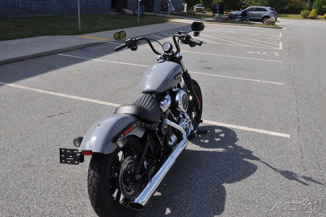 Street Bob®