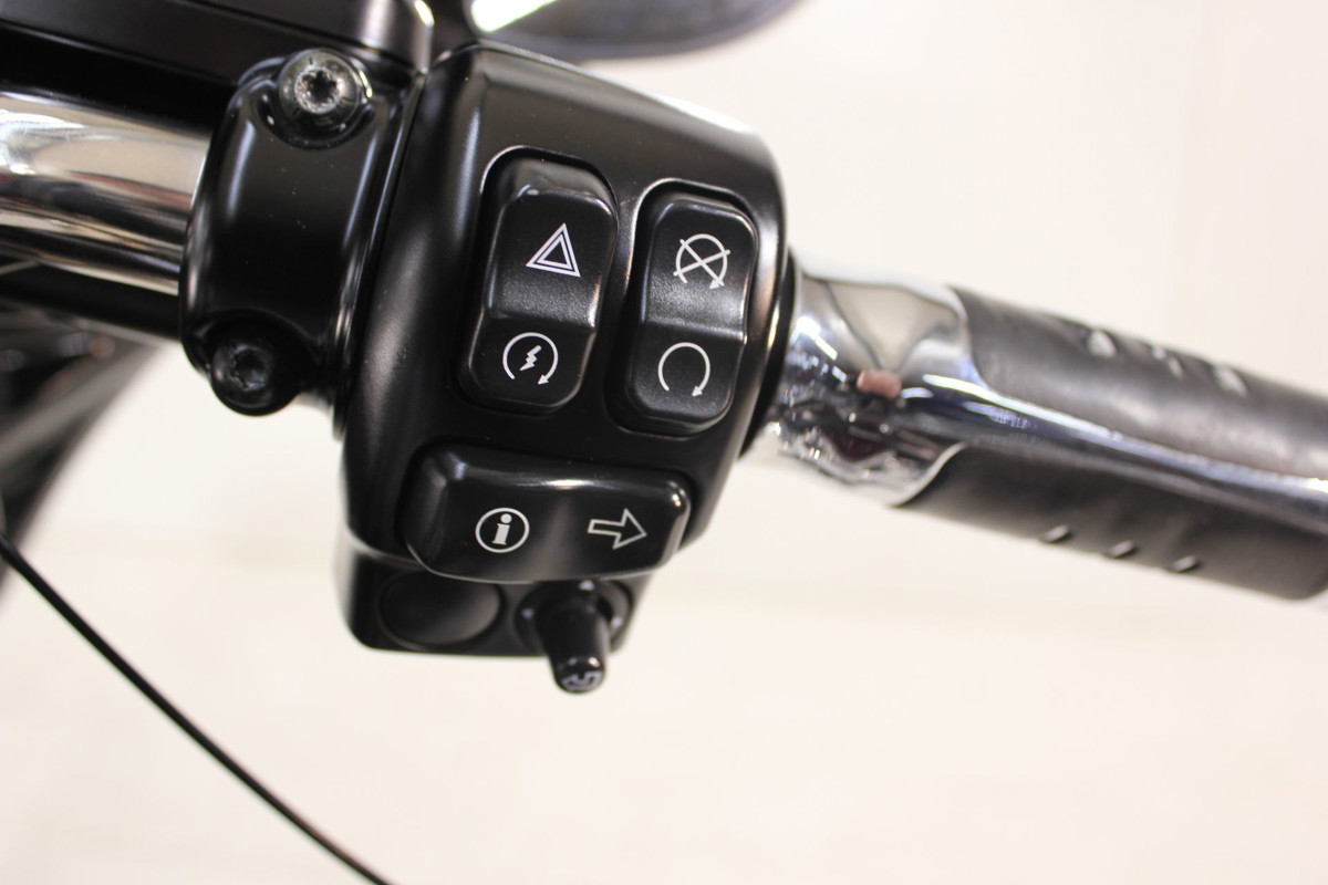 Street Glide® Special