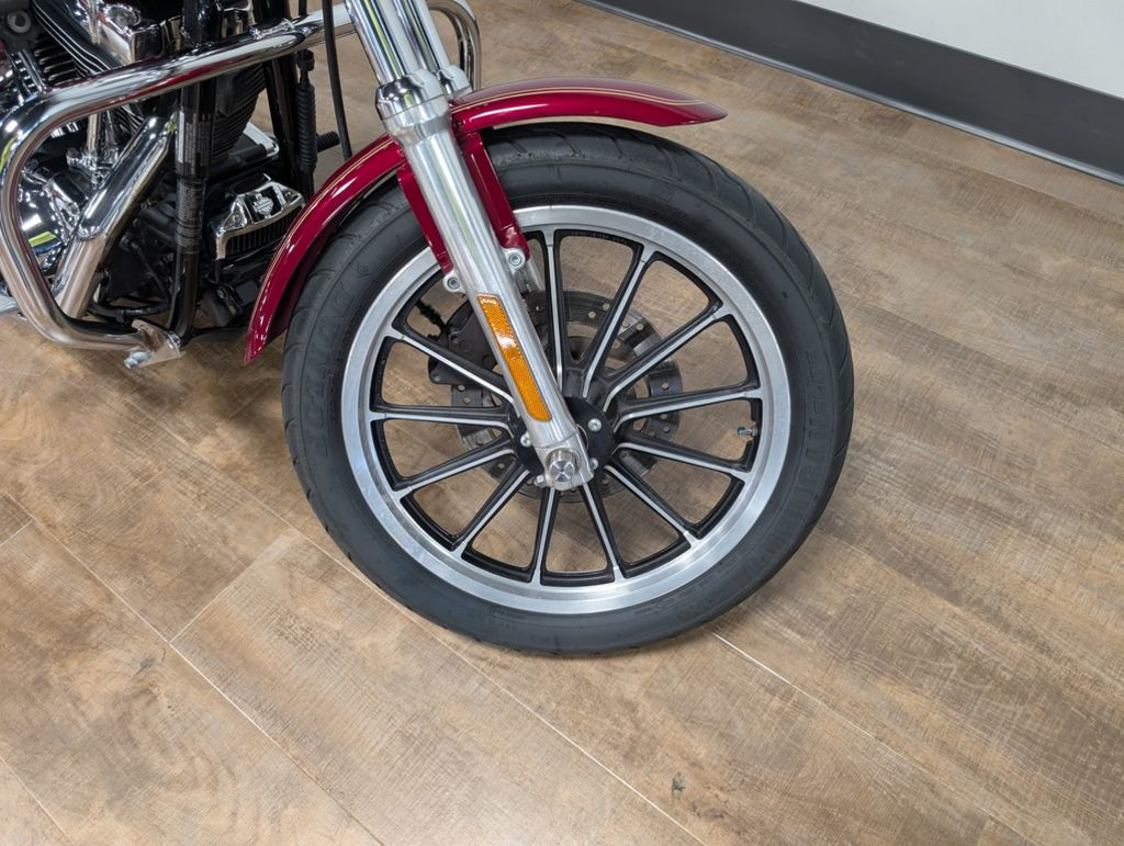Dyna® Low Rider