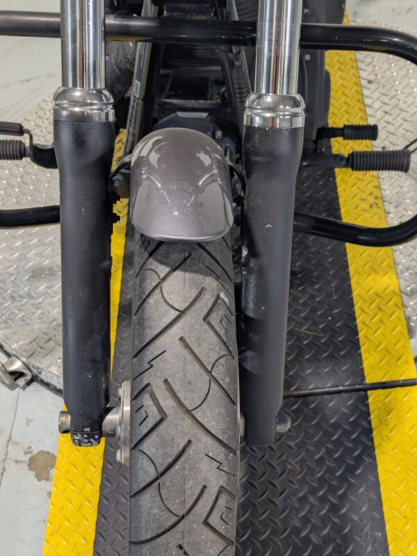 Dyna® Street Bob®